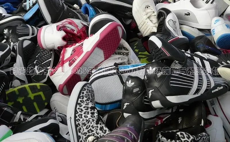 时尚趋势引领：2025年度男装运动鞋市场前瞻与预测分析